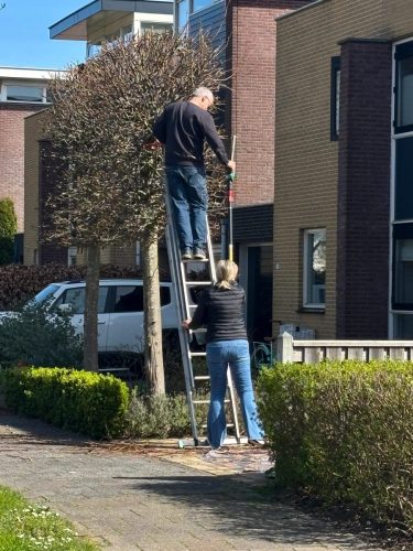 Jan-de-Groot