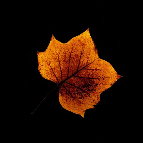 B-Anita-Riemersma3